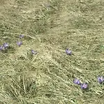 Pod Magurou 招待所 Slovenská Ves