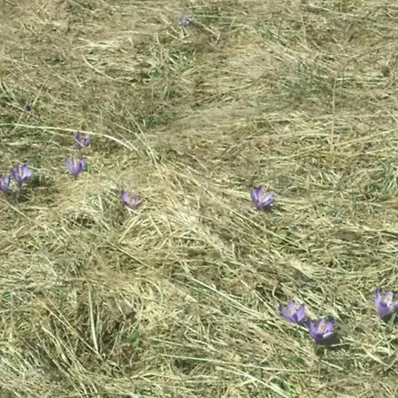 Pod Magurou Pensión Slovenská Ves