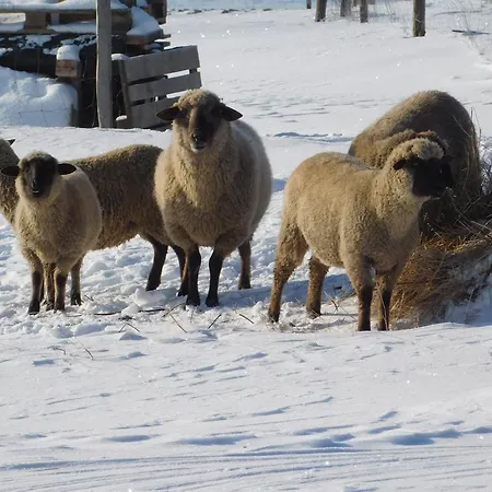 Vendégház Pod Magurou Szepestótfalu