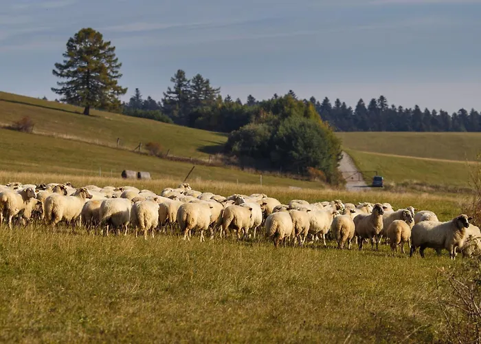Pod Magurou 2* Slovenská Ves